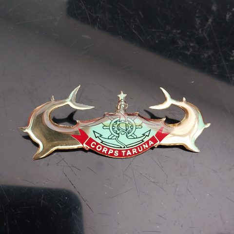 Pesan Lencana Wing Corps Taruna Fiber